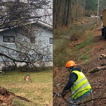 Campbell's Tree Service - Tree Services Near Me - Dunlap, Tennessee