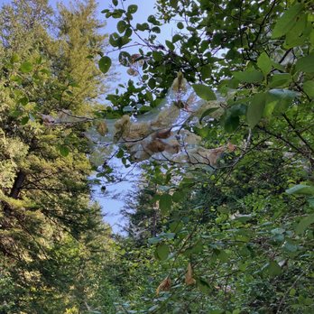 Golden Ears Provincial Park - August 2026. - Boating Near Me
