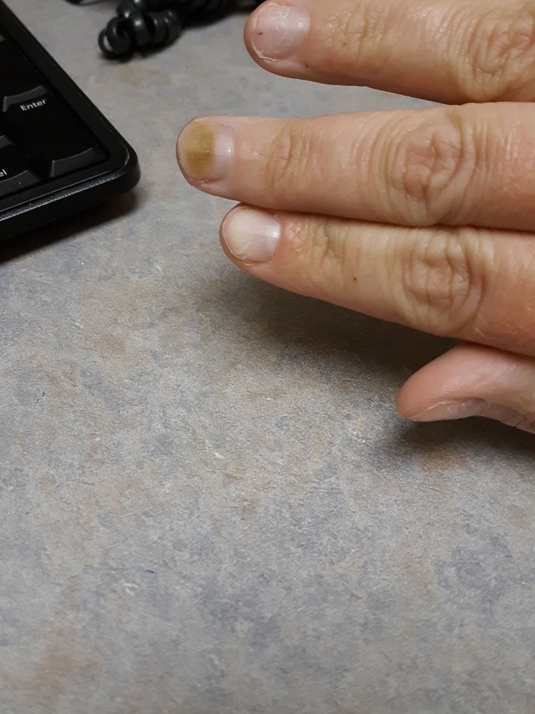 NAIL SCULPTURE Updated July 2024 241 S Bridge St, Elkton, Maryland