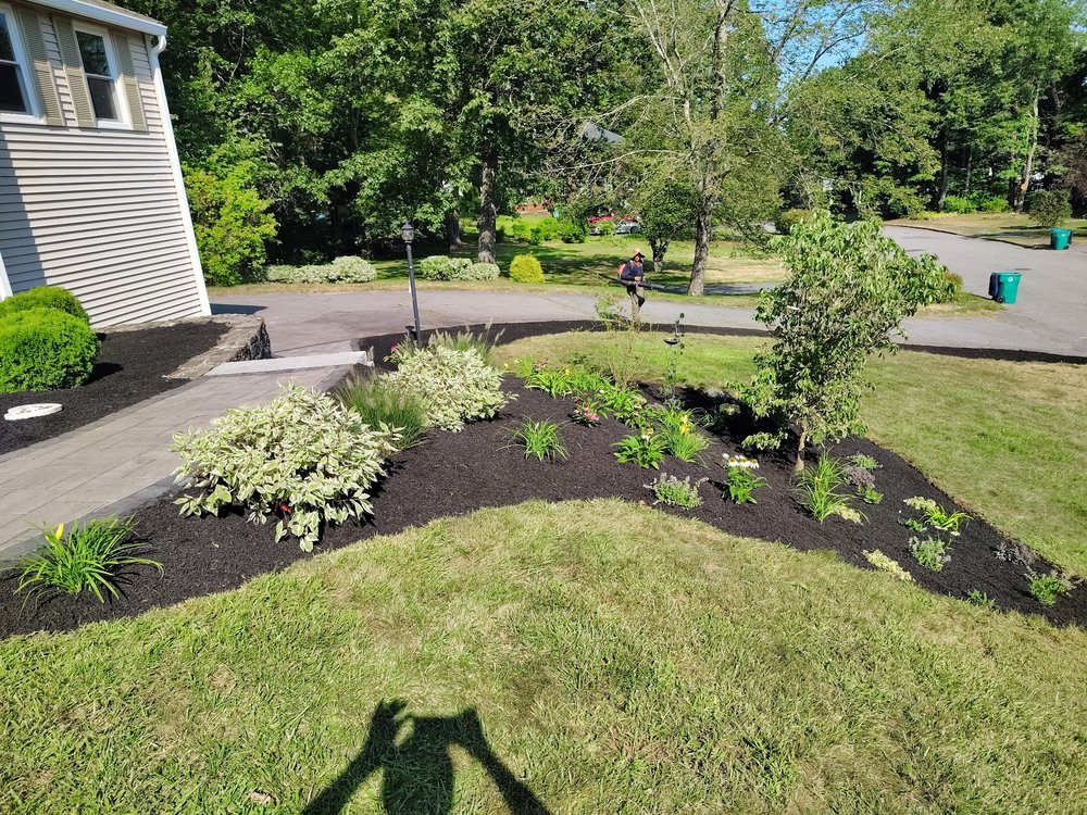 NXT Landscaping - tree service in Fitchburg, MA