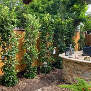 Moon Valley Nurseries - Final planting - Landscaping Near Me - Torrance, California