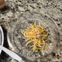 Photo of Elena's Taco Shop