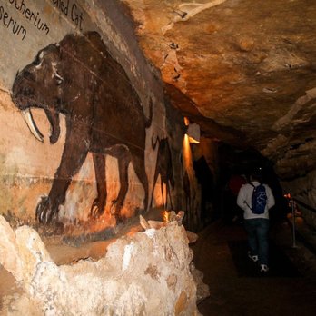 Inner Space Cavern - Tours Near Me - Georgetown, Texas