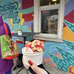 Zsa's Gourmet Ice Cream - Strawberry Pop-Tart Sundae