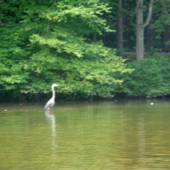 Burke Lake Park - Parks Near Me - Fairfax Station, Virginia