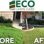 Photo of Eco Lawn Care