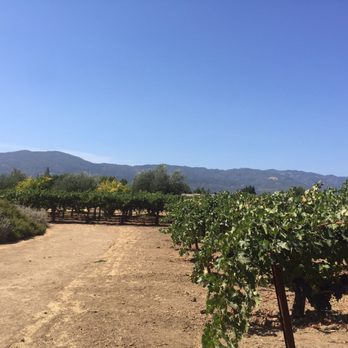 Frog's Leap Winery - Wineries Near Me - Rutherford, California Frog's Leap Winery - Wineries Near Me - Rutherford, California