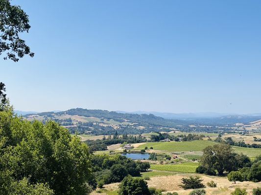 North Sonoma Mountain Regional Park by null