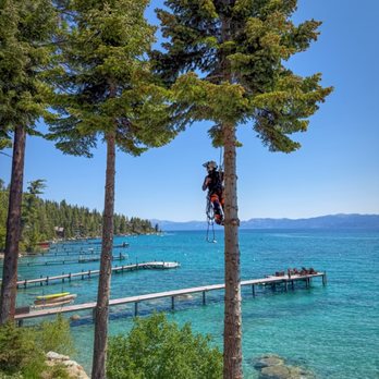 Over The Top Tree Service - Tree Services Near Me - Chico, California Over The Top Tree Service - Tree Services Near Me - Chico, California