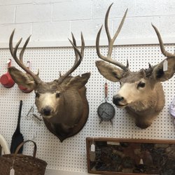 Salamanca Mall Antiques - They're brothers
