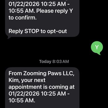 Zooming Paws - The reschedule that never happened - Pet Groomers Near Me