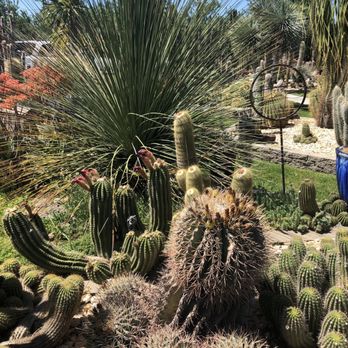 Poot's Cactus Nursery - Nurseries & Gardening Near Me - Ripon, California