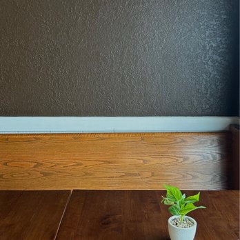 Refuge Coffee House - a small potted plant on a wooden table - Coffee & Tea Near Me - Quincy, Michigan