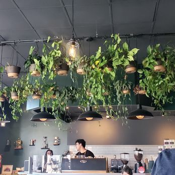 Point Lume - Cafes Near Me - Los Angeles, California