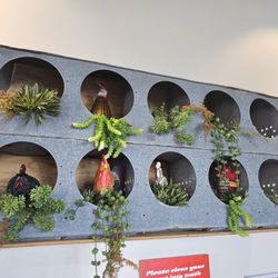 Rooster's Eatery and Catering - Loving the roosters