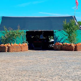 Corona Farms - a display of pumpkins and other produce - Farmers Market Near Me - Riverside, California Corona Farms - a display of pumpkins and other produce - Farmers Market Near Me - Riverside, California