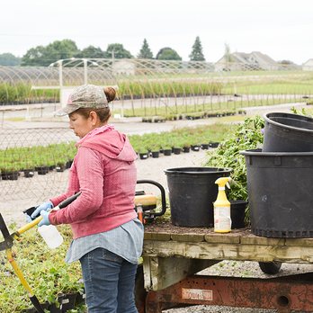 McKay Nursery - One of our employees sanitizing her tools to do some pruning on our perennial plants. - Landscaping Near Me - Waterloo, Wisconsin