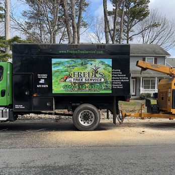 Fredy's Tree Services - Tree Services Near Me - Mays Landing, New Jersey