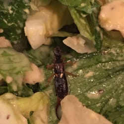 Saladworks