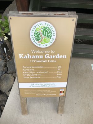 Kahanu Garden, National Tropical Botanical Garden by null