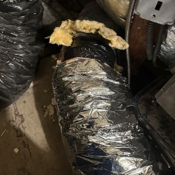 AL's 1 Extermination - Air duct - Pest Control Near Me - Brooklyn, New York