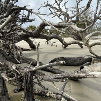 Driftwood Beach - Beaches Near Me - Jekyll Island, Georgia Driftwood Beach - Beaches Near Me - Jekyll Island, Georgia