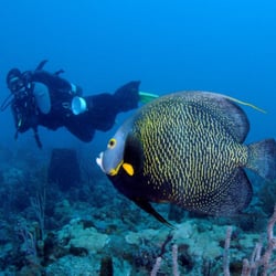 Dive Shop Kissimmee
