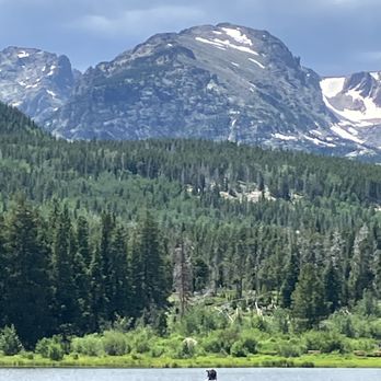 Trenchtown Cannabis - Rocky Mountain High!!!! - Cannabis Dispensaries Near Me - Denver, Colorado Trenchtown Cannabis - Rocky Mountain High!!!! - Cannabis Dispensaries Near Me - Denver, Colorado