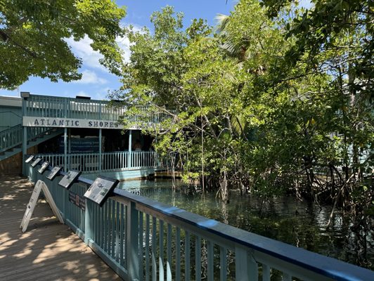 Key West Aquarium by null
