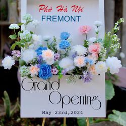 Pho Ha Noi - Grand opening