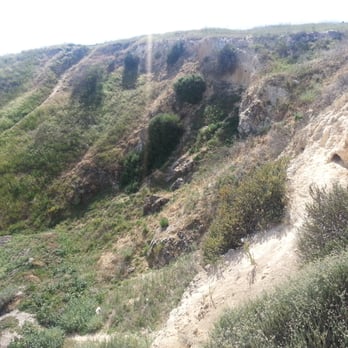 Lime Ridge Open Space - Concord - scenic - Hiking Near Me - Concord, California