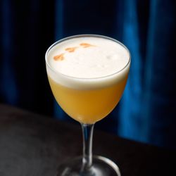 Carlotto - Hotel Nacional Special | Ten To One white rum, bernard apricot liqueur, pineapple, lime. ​