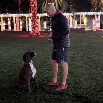 Hudson's Canine Kennels - Tug - Pet Training Near Me - Anaheim , California Hudson's Canine Kennels - Tug - Pet Training Near Me - Anaheim , California