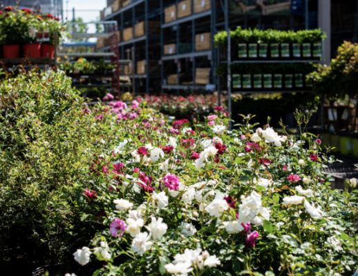 Lowe's Home Improvement by null