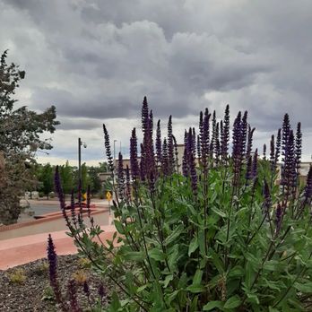New Mexico State Capitol - Landmarks & Historical Buildings Near Me - Santa Fe, New Mexico