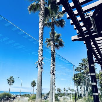 Chandler's Oceanfront Dining - The Ocean front view - New American Near Me - Carlsbad, California