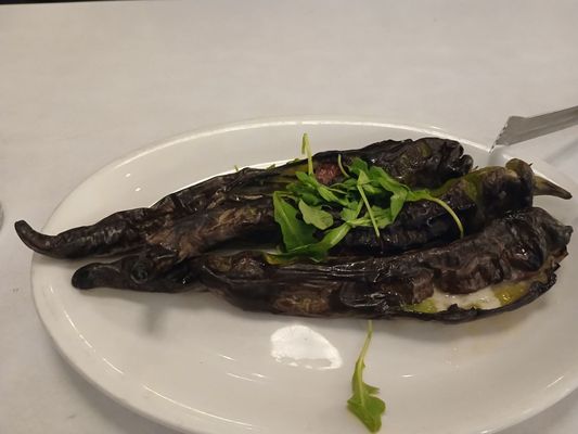 Bricco Coal Fired Pizza by null