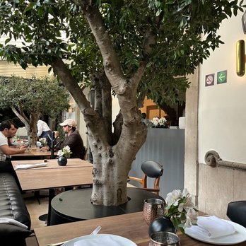 Blanco Castelar - Talk about living with nature, the dining room has trees and a retractable wall and ceiling. - International Near Me - Ciudad de México, DIF
