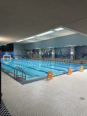 Chelsea Pool by null