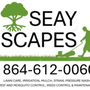 Seay Scapes