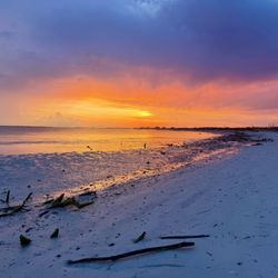 Bunche Beach Preserve