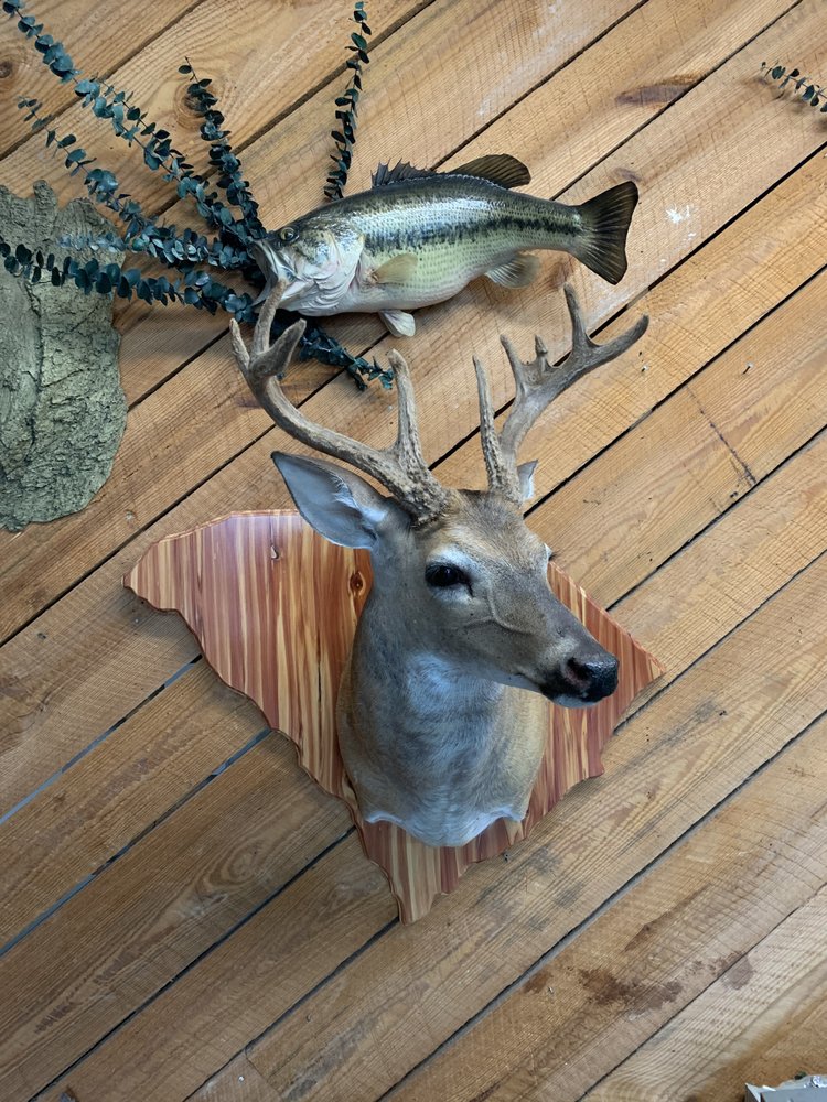DREHER ISLAND TAXIDERMY Request Information 11 Photos 1106 Saint