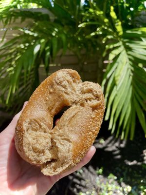 Bagels & Co. by null