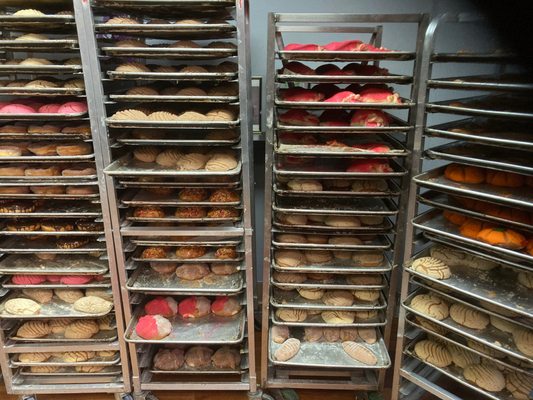 Guadalupana Bakery by null