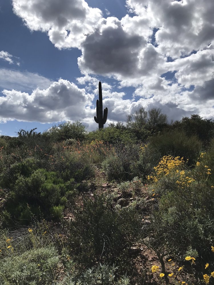 TONTO NATIONAL FOREST Tonto Basin, Arizona Public Services