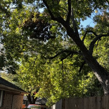 FirstKey Homes - Property Management Near Me - Richardson, Texas FirstKey Homes - Property Management Near Me - Richardson, Texas