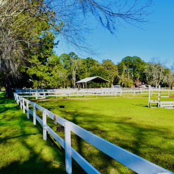 Red Gate Farms - RV Resort - beautifully manicured paddocks where you can find horse grazing, riding lessons being taught, or pony rides - RV Parks Near Me - Savannah, Georgia Red Gate Farms - RV Resort - beautifully manicured paddocks where you can find horse grazing, riding lessons being taught, or pony rides - RV Parks Near Me - Savannah, Georgia