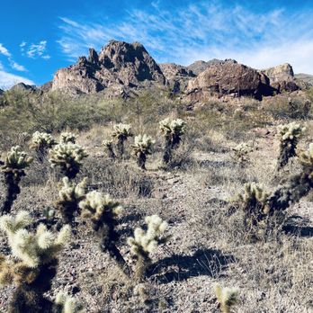 Hieroglyphic Trail Hoa - Gorgeous day! - Hiking Near Me - Gold Canyon, Arizona Hieroglyphic Trail Hoa - Gorgeous day! - Hiking Near Me - Gold Canyon, Arizona