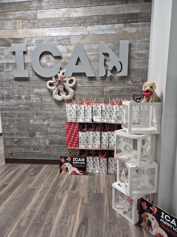 Indiana Canine Assistant Network - veterans service organization in Zionsville, IN