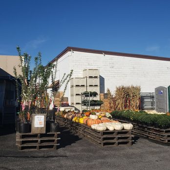 Catoctin Mountain Orchard - Trees, pumpkins and mums for sale! Portable restrooms and hand washing station to the side. - Fruits & Veggies Near Me - Thurmont, Maryland Catoctin Mountain Orchard - Trees, pumpkins and mums for sale! Portable restrooms and hand washing station to the side. - Fruits & Veggies Near Me - Thurmont, Maryland